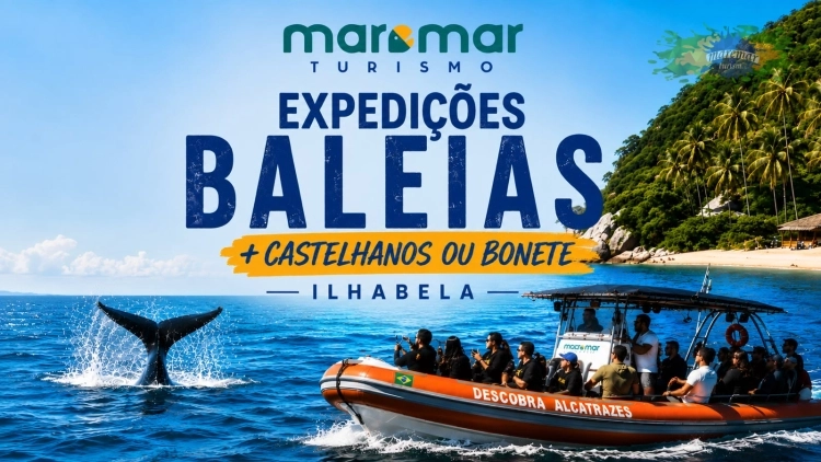 Avistamento de Baleias + 01 Destino Tur&iacute;stico 